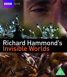 ¡ɵ£Ҋ Richard Hammond's Invisible Worlds