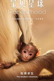 ��ؐ����