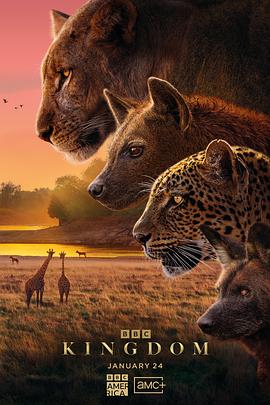 ��������2025